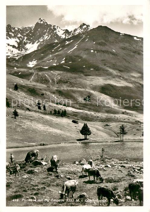 Alp Flix GR Flixersee mit Piz Calderas Oberhalbstei