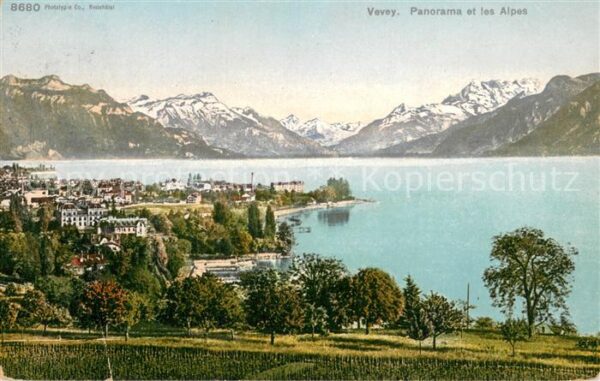Vevey VD Panorama et les Alpes