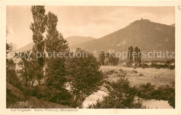Munster 68 Haut Rhin Elsass Paysage et Ruine Pflixburg