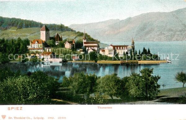 Spiez Thunersee BE Panorama