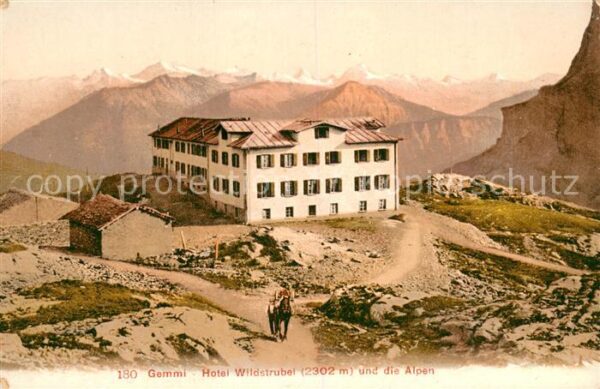 Gemmi VS Berghotel Wildstrubel und die Alpen