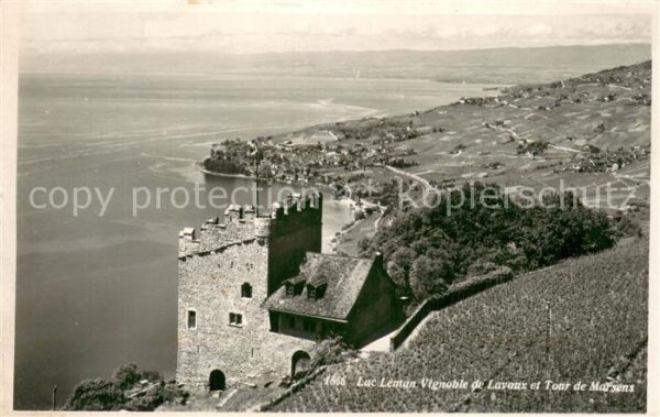 Lac Leman Genfersee GE Vignoblede Lavaux et Tour de Marsens