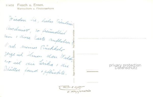 Fiesch und Ernen mit Wannenhorn und Finsteraar – Bild 2