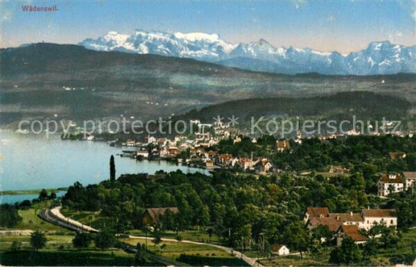 Waedenswil Waedensweil ZH Panorama Zürichsee Alpen