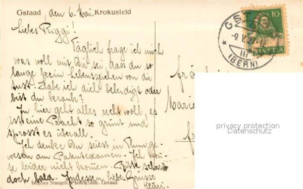 Gstaad BE Krokusfeld Panorama – Bild 2