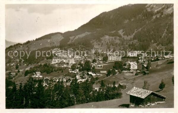 Wengen  BE Panorama