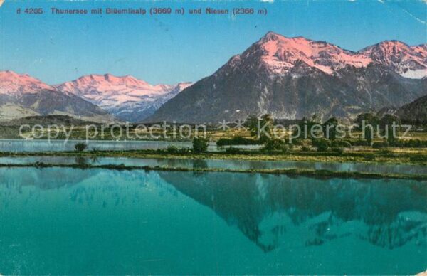 Thunersee mit Blümlisalp und Niesen