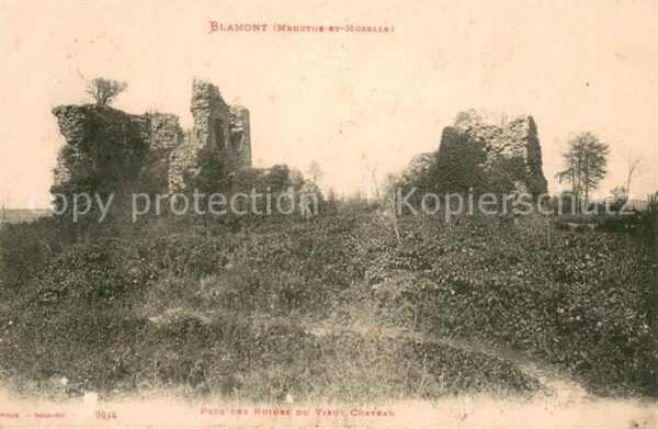 Blamont 54 Pres des Ruines du Vieux Chateau
