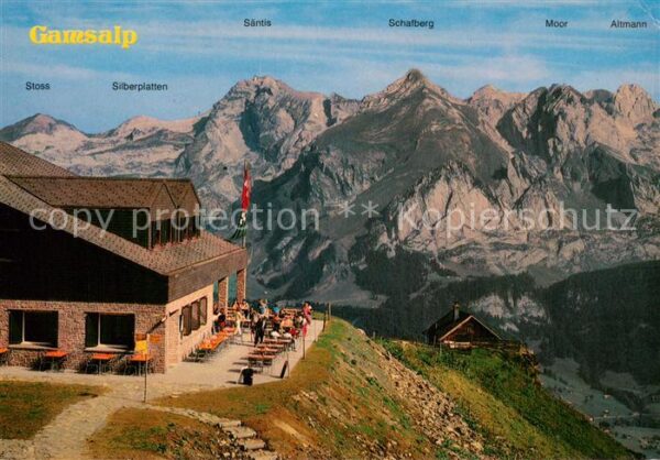Wildhaus  SG Bergrestaurant Gamsalp mit Säntis Schaf