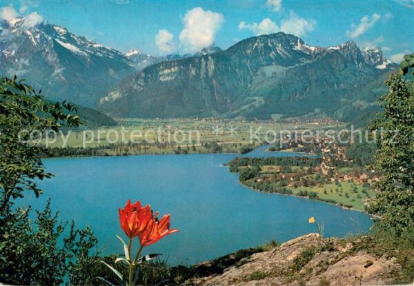 Weesen Walensee mit Linthebene und Glärnisch