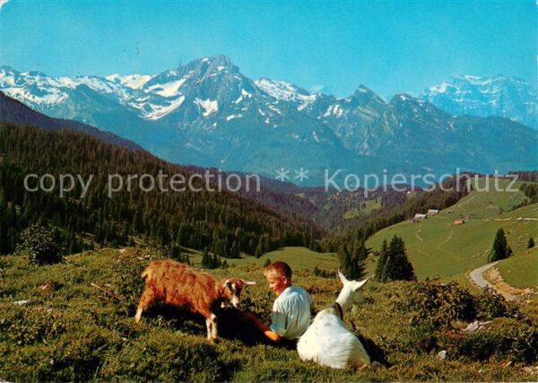 Amden SG Vordere Amdenerhöhe mit Alp Altschen un