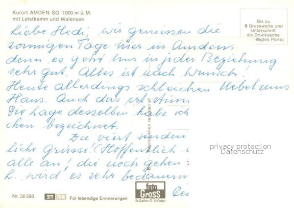 Amden SG mit Leistkamm und Walensee – Bild 2