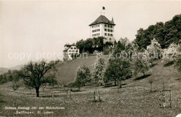 Gelfingen Schloss Heidegg mit den Weinkulturen Fe