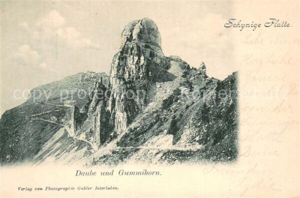 Schynige Platte Daube und Gummihorn