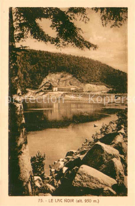 Lac Noir Vosges 88 Panorama