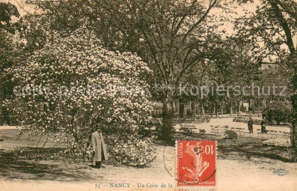 Nancy 54 Teilansicht