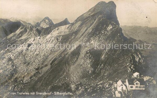 Tierwies AR Grenzkopf Silberplatte