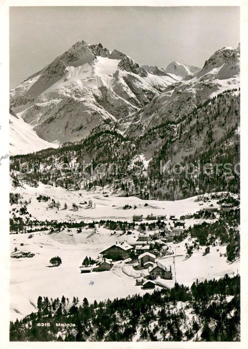 Maloja GR Im Schnee