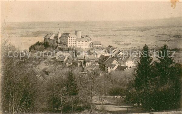 Regensberg Dielsdorf ZH Panorama