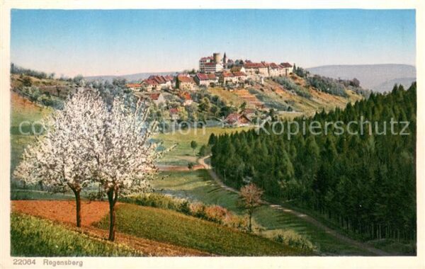 Regensberg Dielsdorf ZH Panorama