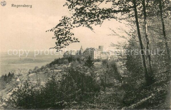 Regensberg Dielsdorf ZH Panorama