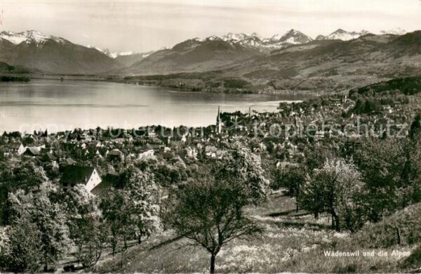 Waedenswil Waedensweil ZH und die Alpen
