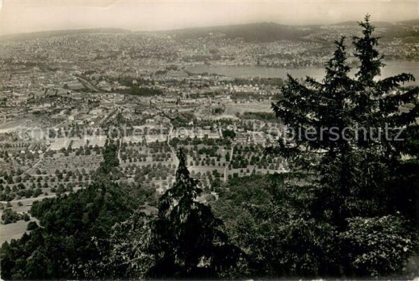 Zuerich ZH Blick vom Uetliberg