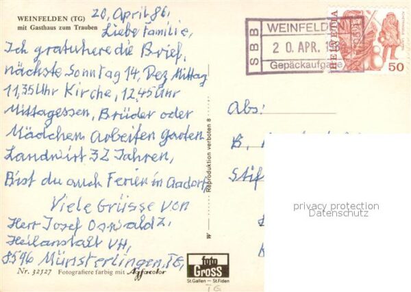 Weinfelden mit Gasthaus zum Trauben – Bild 2
