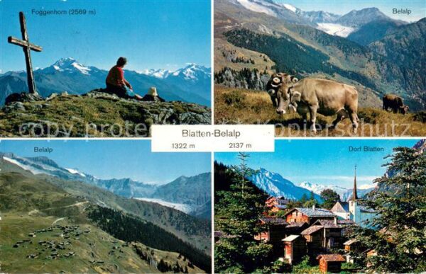 Blatten  VS Dorfansicht mit Kirche Belalp Almvieh G