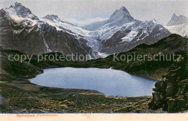 Bachalpsee BE Panorama