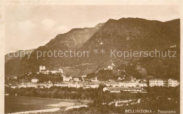 Bellinzona Panorama