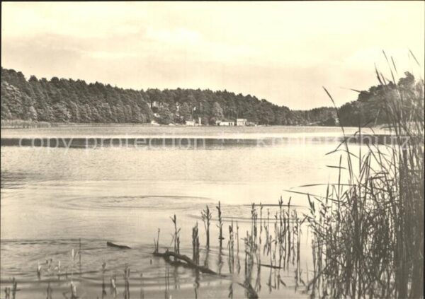Strelitz-Alt Altstrelitz Domjüchsee