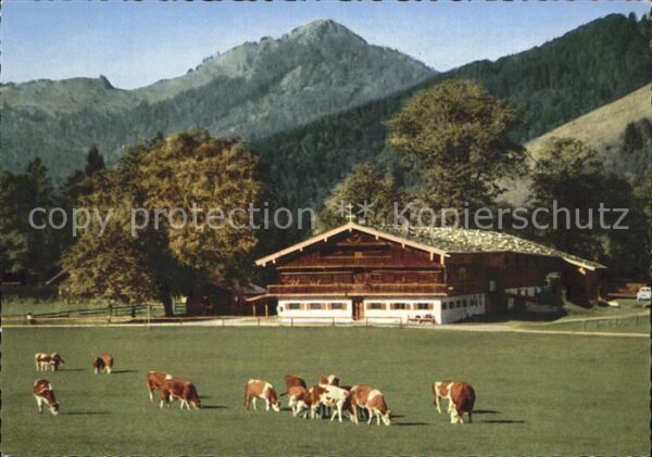 Bad Wiessee Berggasthof Bauer in der Au Fockenstein