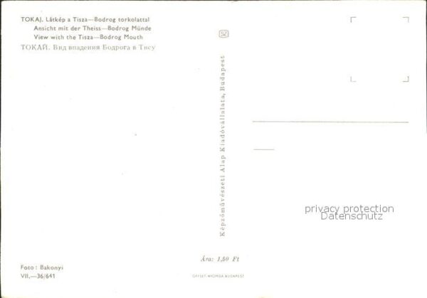 Tokaj Theiss Bodrag Münde – Bild 2