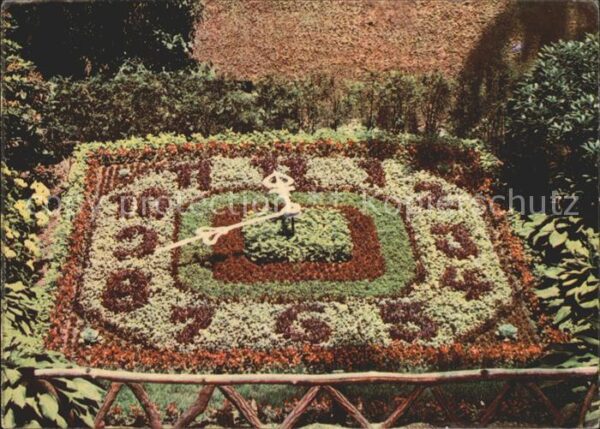 Zittau Blumenuhr