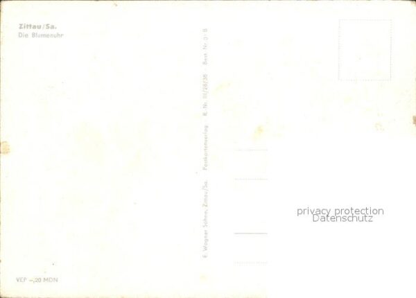 Zittau Blumenuhr – Bild 2