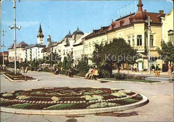 Targu Mures Zentrum