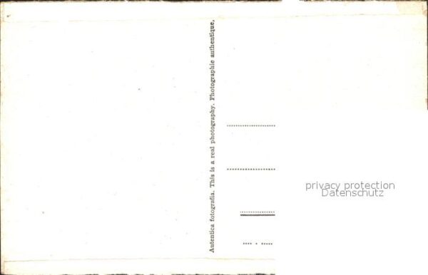 Cintra Portugal Palacio – Bild 2
