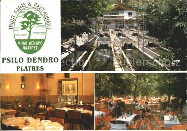 Zypern Cyprus Trout Farm und Restaurant Psilo Dendro