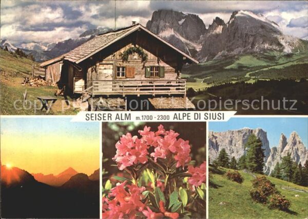 Dolomiten Seiser Alm Schlerngebiet Felsmassiv Alp