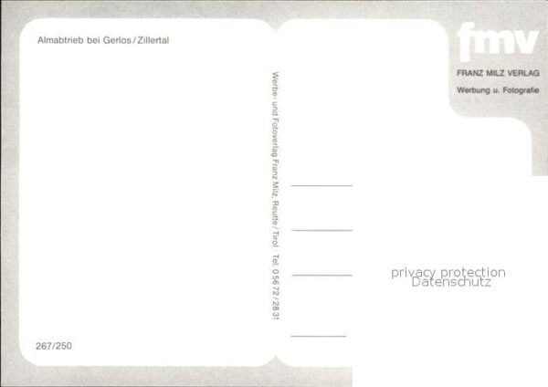 Gerlos Almabtrieb – Bild 2