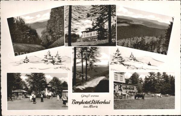Walkenried Berghotel Stöberhai Park Panorama Reite