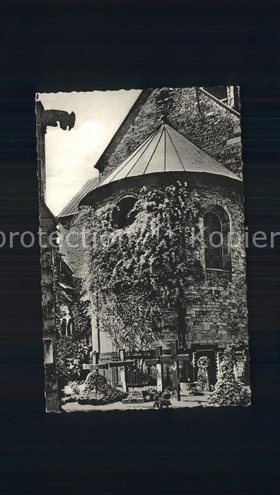 Hildesheim 1000jähriger Rosenstock am Dom