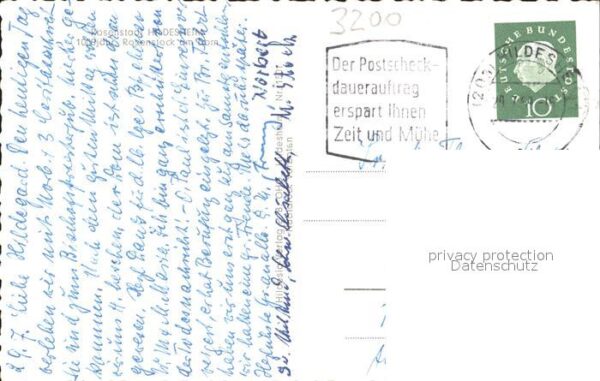 Hildesheim 1000jähriger Rosenstock am Dom – Bild 2