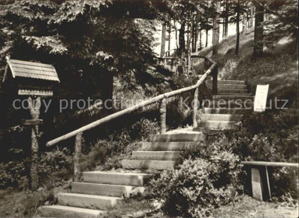 Oberhof Thueringen Rennsteiggarten Mitteltreppe