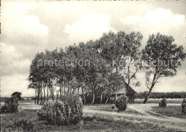 Lueneburger Heide Schnuckenstall