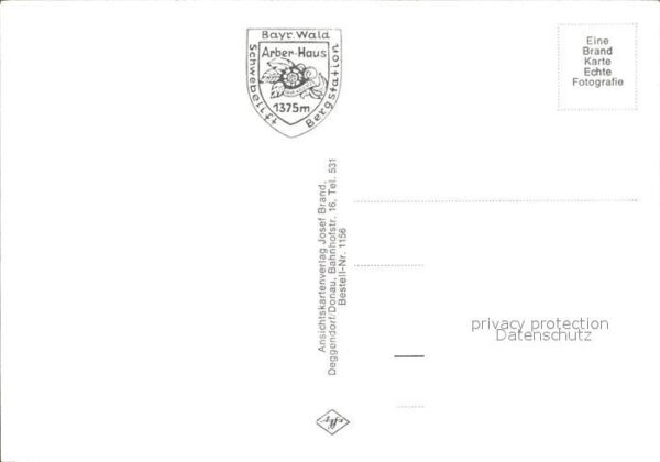 Arber Richard Wagner Kopf Arbergipfel Osthang – Bild 2
