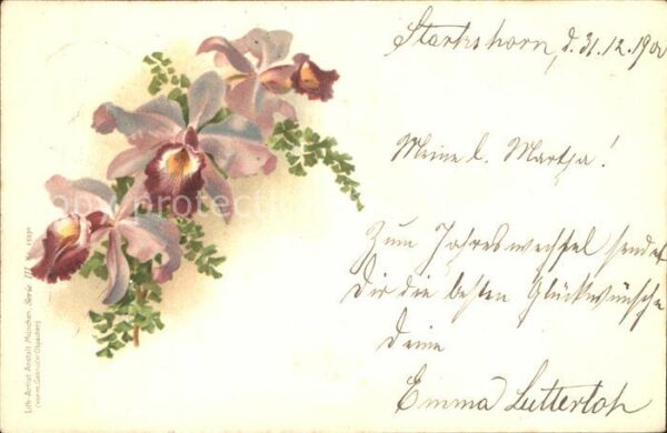 Blumen Lilien Litho