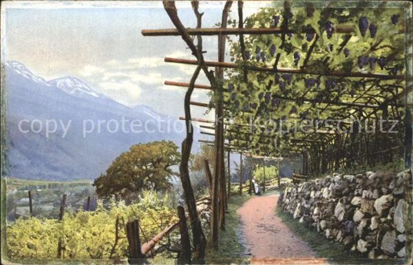 Verlag Photochromie Nr. 5210 Serie 379 Natur Berge