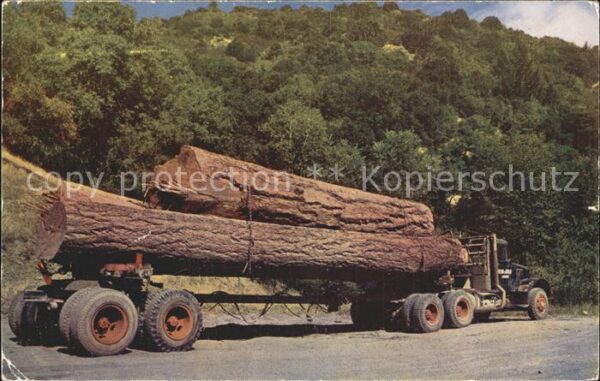 Baeume Trees Log Truck